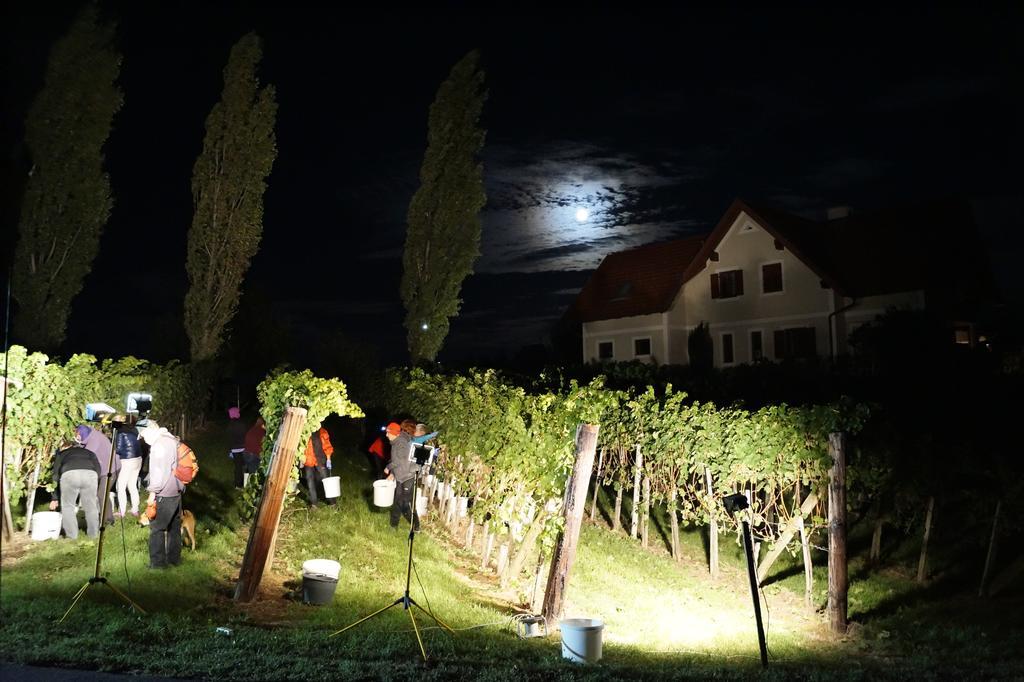 KlöchWinzerhof Familie Kloecklアパートメント エクステリア 写真