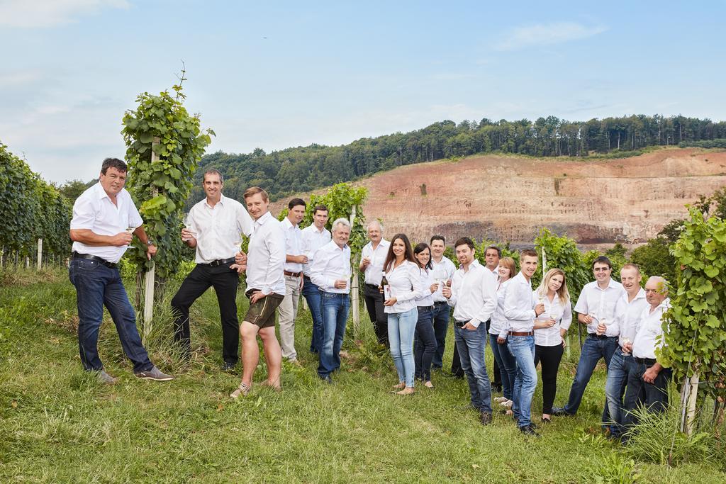 KlöchWinzerhof Familie Kloecklアパートメント エクステリア 写真